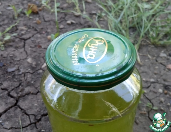 Csalánka (чаланка) – целебное желе из крапивы Csalánka (чаланка) – целебное желе из крапивы