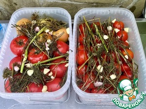 Солёные помидоры Солёные помидоры