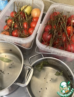 Солёные помидоры Солёные помидоры