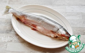 Арктический голец с помидорами в духовке