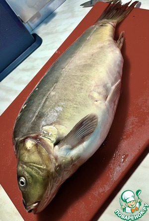 Гефильте фиш из карпа. Фаршированная рыба по-еврейски Гефильте фиш из карпа. Фаршированная рыба по-еврейски