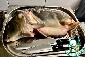 Гефильте фиш из карпа. Фаршированная рыба по-еврейски Гефильте фиш из карпа. Фаршированная рыба по-еврейски