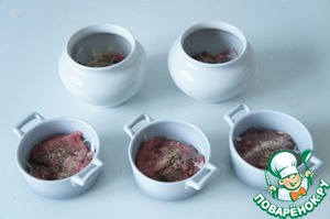 Индейка по-капитански