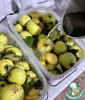 Яблоки мочёные. Ничего лишнего