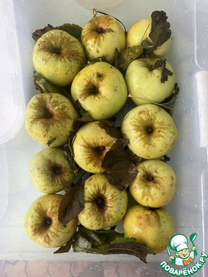 Яблоки мочёные. Ничего лишнего