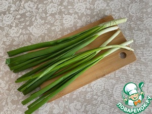 Бургер с котлетой и зеленым луком Бургер с котлетой и зеленым луком