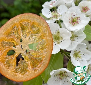 Лимоны к чаю. Конфеты из лимона