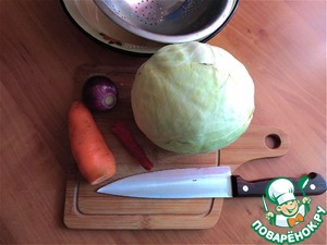 Сальвадорская маринованная капуста Сальвадорская маринованная капуста