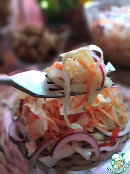 Сальвадорская маринованная капуста Сальвадорская маринованная капуста