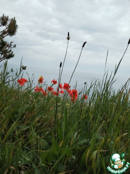 Закусочный открытый пирог для пикника"Шмели" Закусочный открытый пирог для пикника"Шмели"