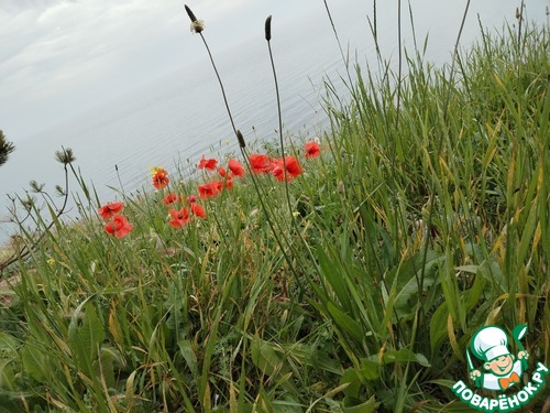 Закусочный открытый пирог для пикника"Шмели" Закусочный открытый пирог для пикника"Шмели"