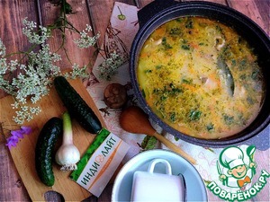 Кондер из мяса индейки Кондер из мяса индейки