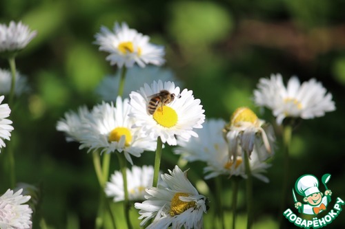 Мясо молодого барашка с нутом