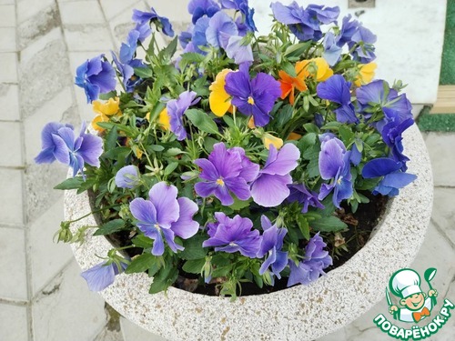 Пирог из картофельного пюре с колбасками