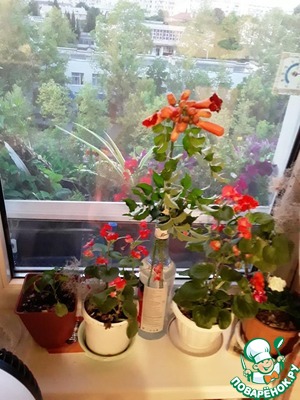 Рис креветочный "Женское счастье" Рис креветочный "Женское счастье"