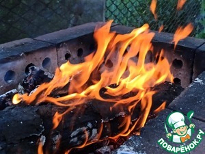 Шашлык из индейки с ягодным соусом