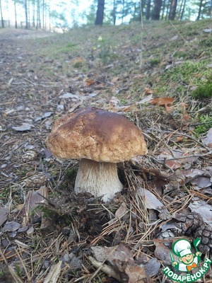 Ножки боровиков в кляре