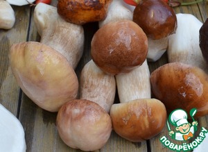 Блинчики с грибами и плавленым сыром