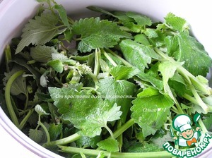 Сироп из мелиссы с лимоном Сироп из мелиссы с лимоном