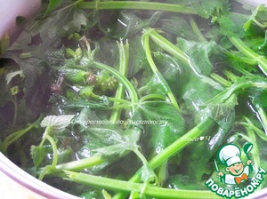 Сироп из мелиссы с лимоном Сироп из мелиссы с лимоном