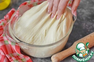 Дрожжевое тесто для несладкой выпечки Дрожжевое тесто для несладкой выпечки